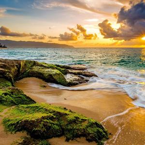 欢迎你再次来到我的内心世界