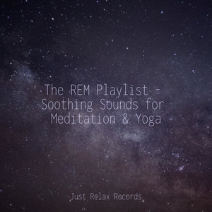 Suspended in Amber Light