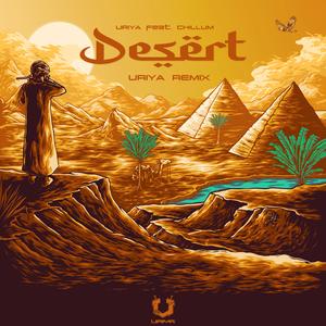 Desert (feat. Chillum) (Live Remix) (Live Remix)