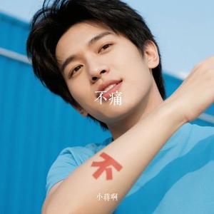 不痛(Cover 樊凡)