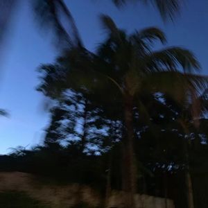 熊出没语录（释怀版）