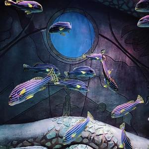 放个大招给你看