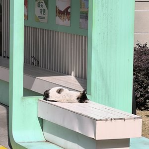 如果来世没有坠入爱河（来世、恋に落ちられないなら）.wav