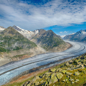 Clear Mind Projection