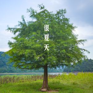 很夏天（Summer trip）