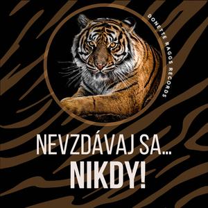 Nevzdávaj sa… NIKDY