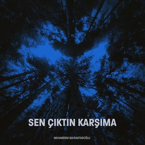 Sen Çıktın Karşıma