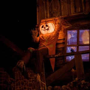 颤栗惊悚预告片