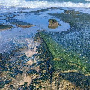 Farmers and Their Children