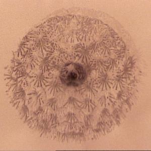 Foghorn