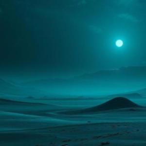 the surface of venus