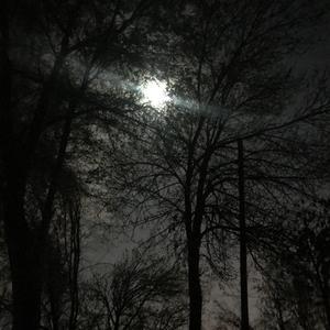 总有一天你会出现在我身边