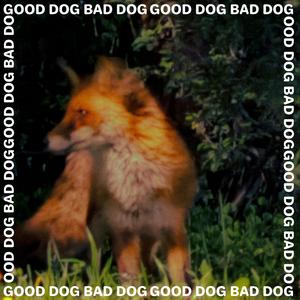 GOOD DOG BAD DOG