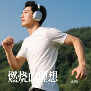 燃烧的理想