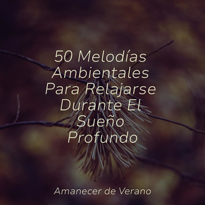 Envuelto en Silencio