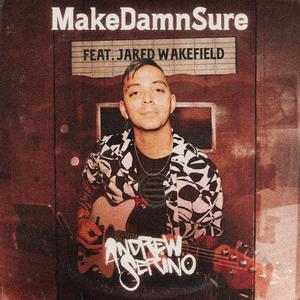 MakeDamnSure (feat. Jared Wakefield)