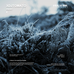 Frost (Extended Mix)