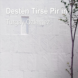 Destên Tirsê Pir In