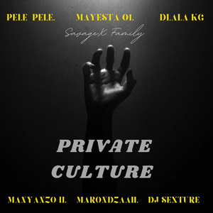 Private Culture