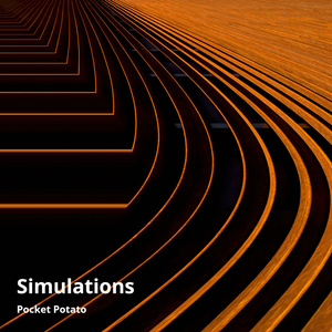 Simulations