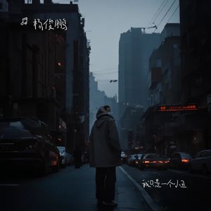 我只是一个小丑