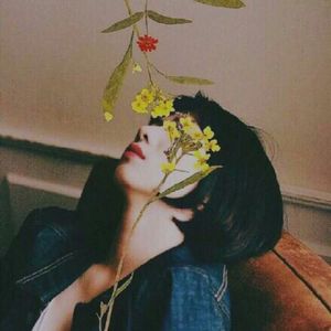 我们总是在寻找（翻自 花粥）