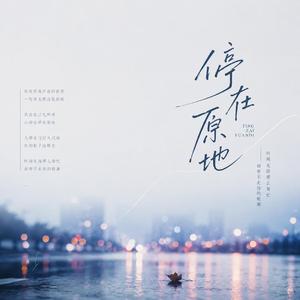 停在原地