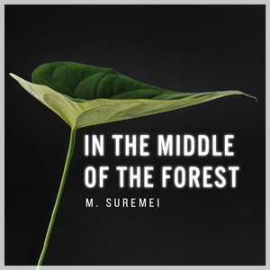 In the Middle of the Forest