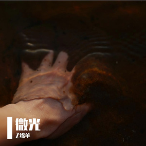 微光