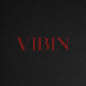 VIBIN