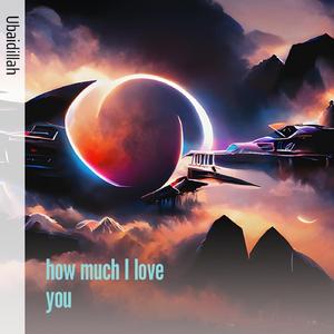 How Much I Love You
