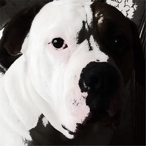 Alone (feat. William Finch)