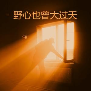 野心也曾大过天