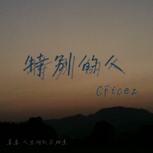 特别的人