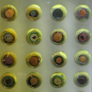 I Hope I Don't See You Tomorrow