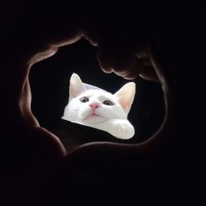 To 小鱼（Prod.byEVOMusic)