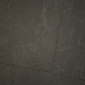 我不是忘不掉你