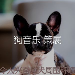 精彩睡狗环境