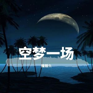 空梦一场（DJ版）