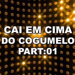Cai em Cima do Cogumelo