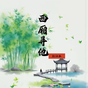 西厢寻他（DJ小沐版）1.1x