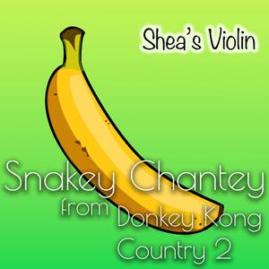 Snakey Chantey (From "Donkey Kong Country 2")