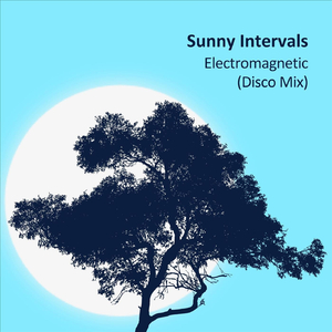 Electromagnetic (Disco Mix)