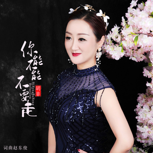 你能不能不要走 (伴奏)