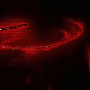 高高（Higher and higher）