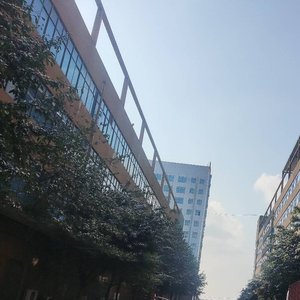 水龙吟（二胡变奏）