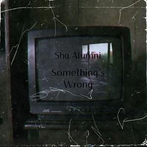 Something's Wrong Freestyle