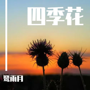 橄榄树13（纯音乐）