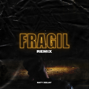 Frágil (Remix)