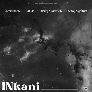 INkani (Live)